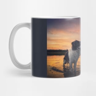 beautiful dog at sunset Mug
